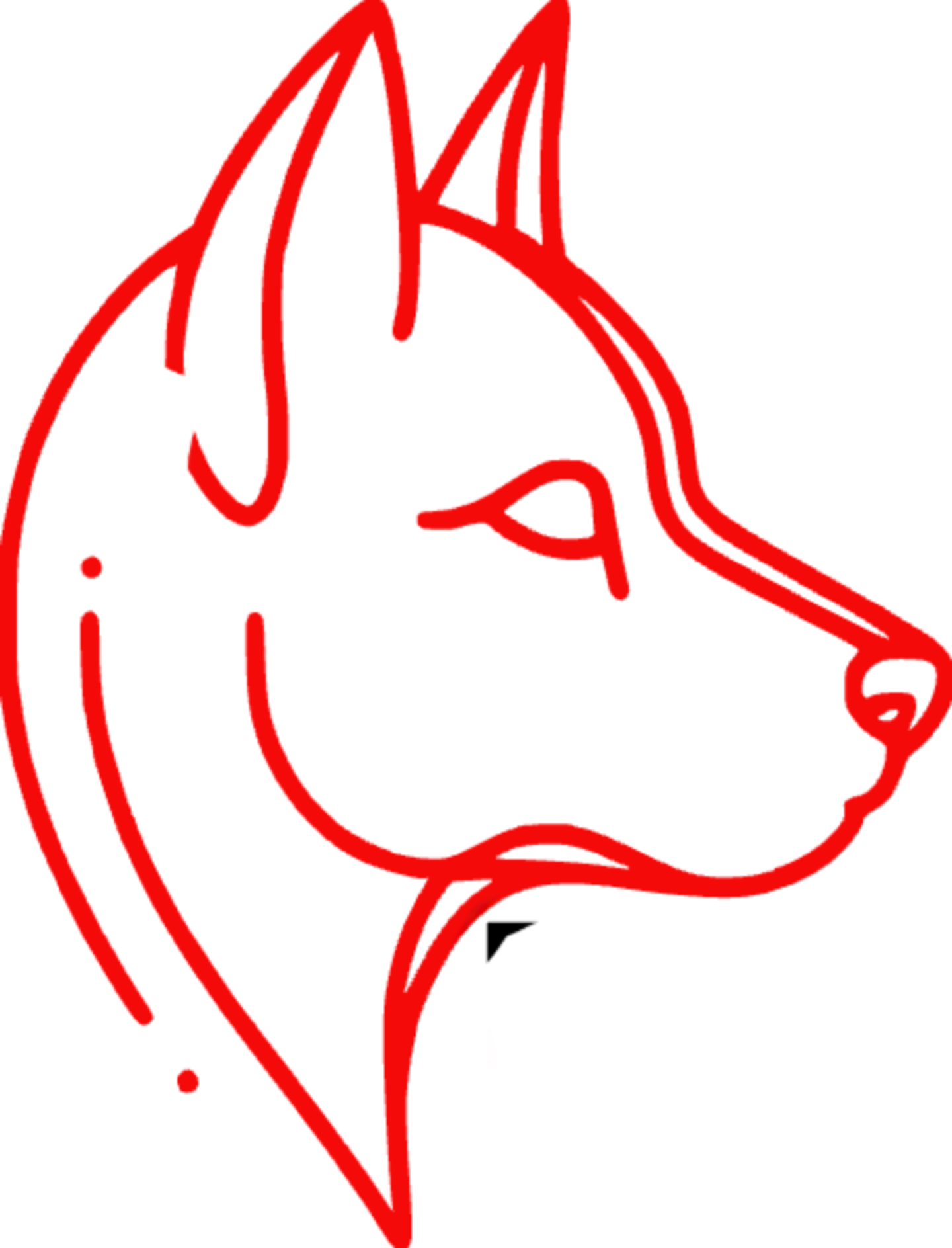 Puppy Weekend Vienna 2025